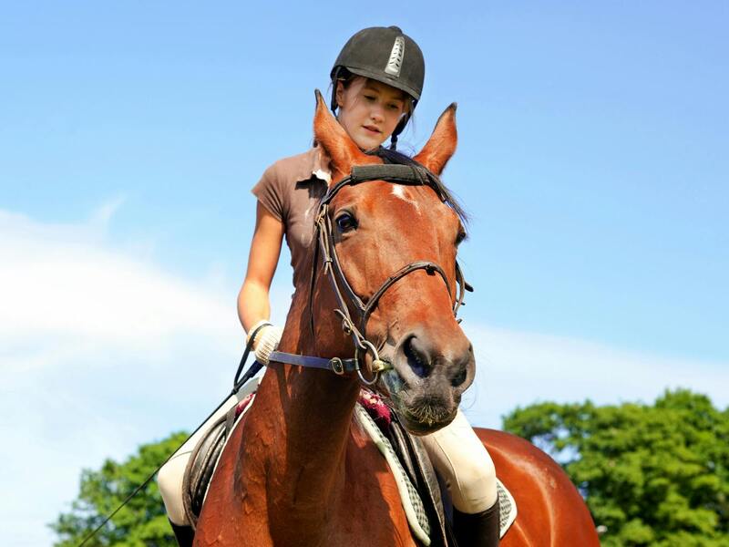 Sportkamp: paardrijden Buggenhout - week 2 paasvakantie