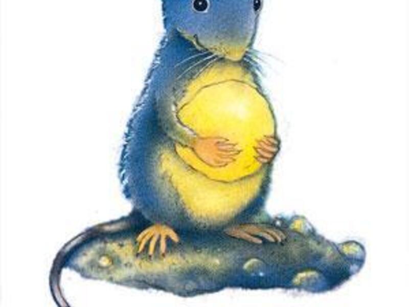 Max en de toverstenen Zomer 1 - 2026