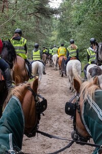 Paardrijden trekking