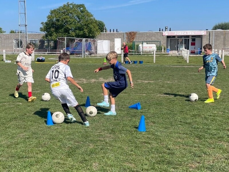 Zomerstage augustus - Staden