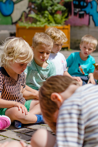 Musical: Beland In Dromenland