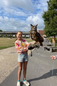 Dierenmanieren
