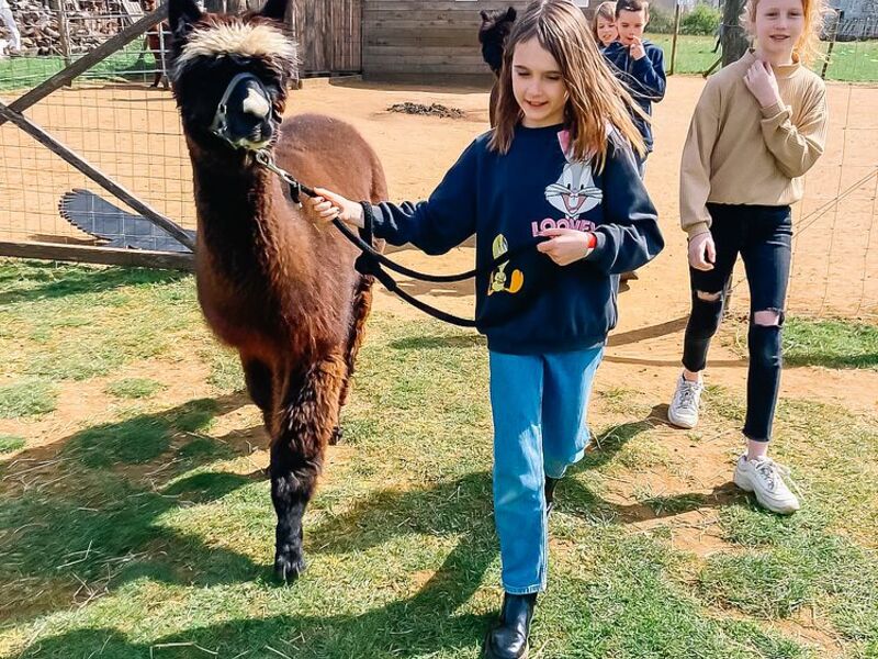 Beestige natuur 3-daagse