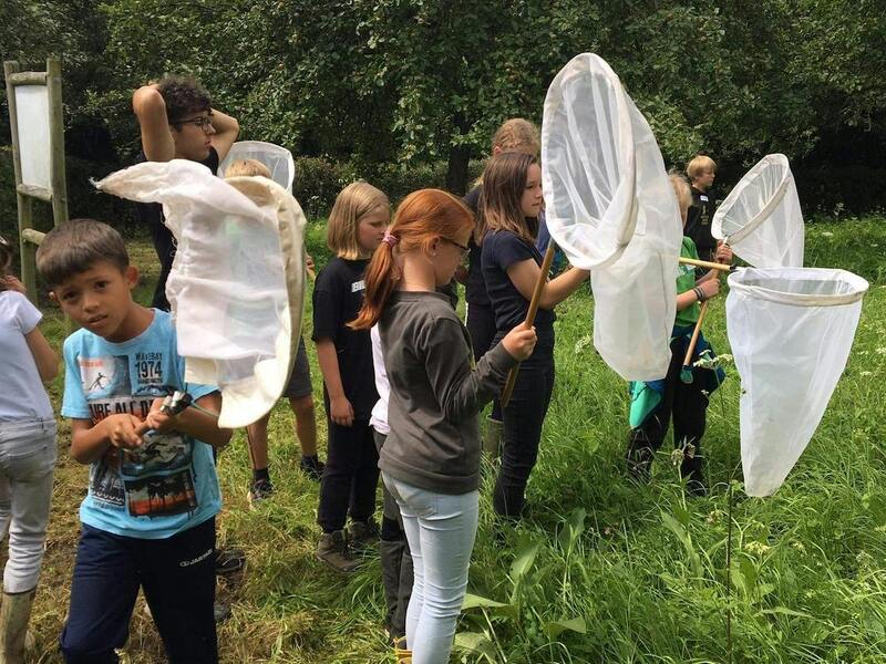 Natuurkamp The Hedge 7- tot 14-jarigen 20 tem 24 juli 2026 (niet op 21/7)