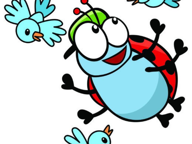 Kriki fladdert rond Ename (24-28/08/2026)