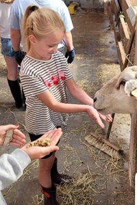 Boerderijvakantie
