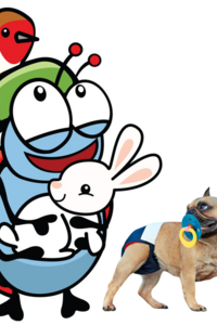 Beestig plezant Maarkedal (17-21/08/2026)