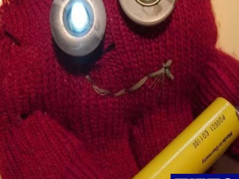 Fabeldieren: wat als dieren konden knutselen?, 13 tot 17 april 2026, 6-8j, Drongen