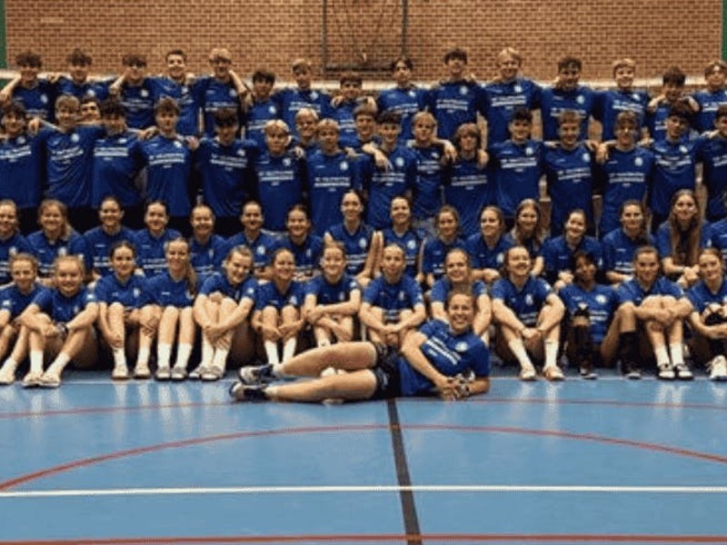 Volleybal Knack Roeselare