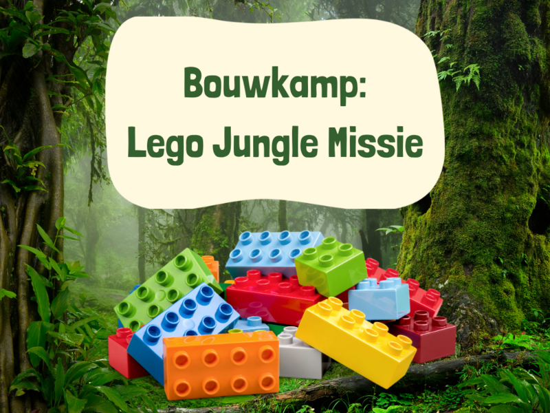Bouwkamp: lego jungle missie