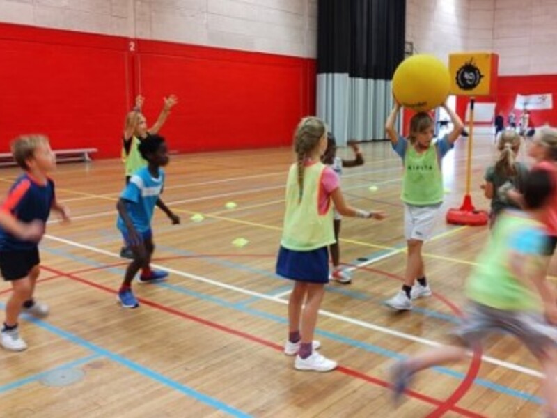 Ball mania