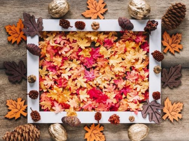 nm Dwarrelen door de herfst