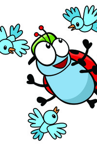 Kriki fladdert rond Kaaihoeve (24-28/08/2026)