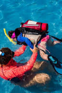 Grote Onderwaterwereld