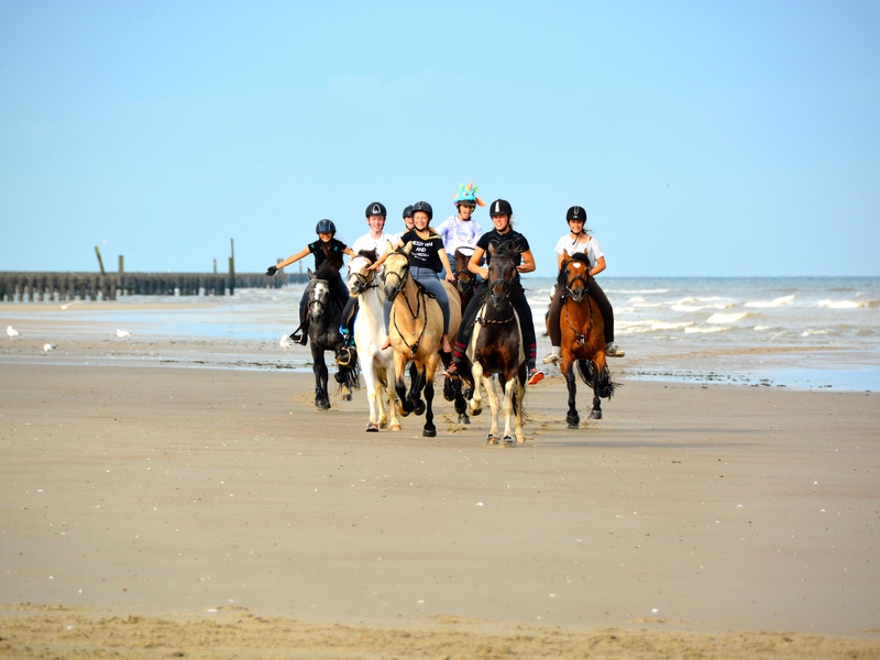Paardrijden aan zee