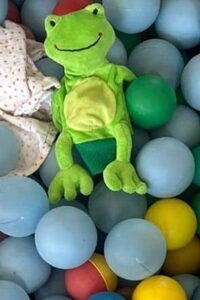 Rocco en de verdwenen kleuren