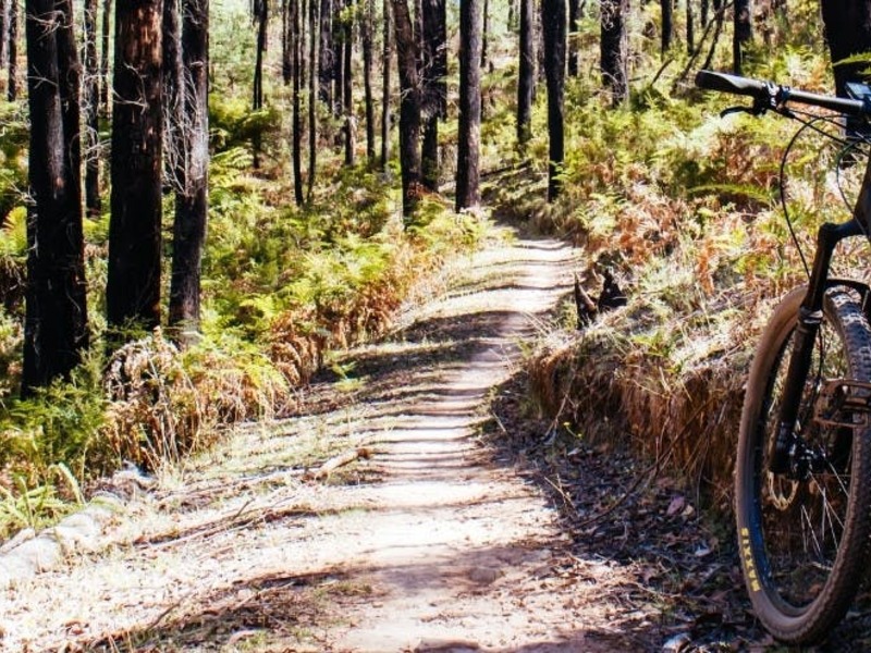 Mountainbike en Adventure