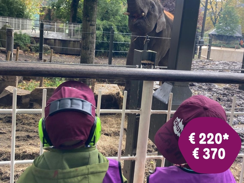 herfstkriebels 8-12 jaar