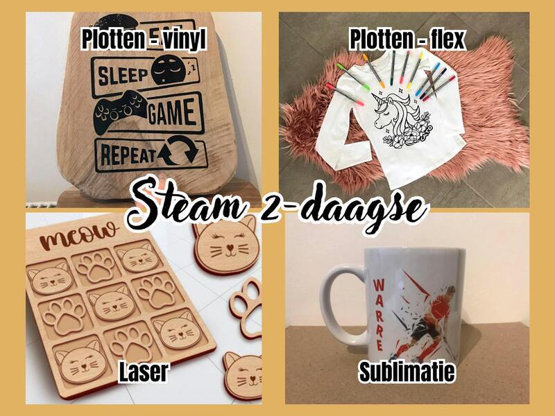 STEAM 2-daagse voor kinderen van °2014 tot 2019 met Els Van den Bossche (amoreLs) - DAG