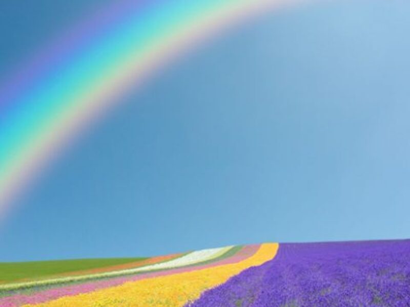 Alle kleuren van de JETI-boog