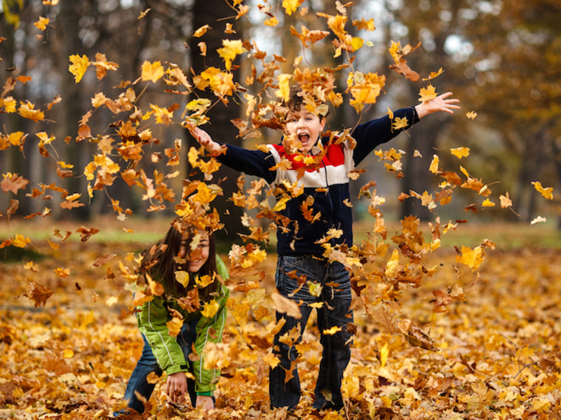 Herfstkriebels
