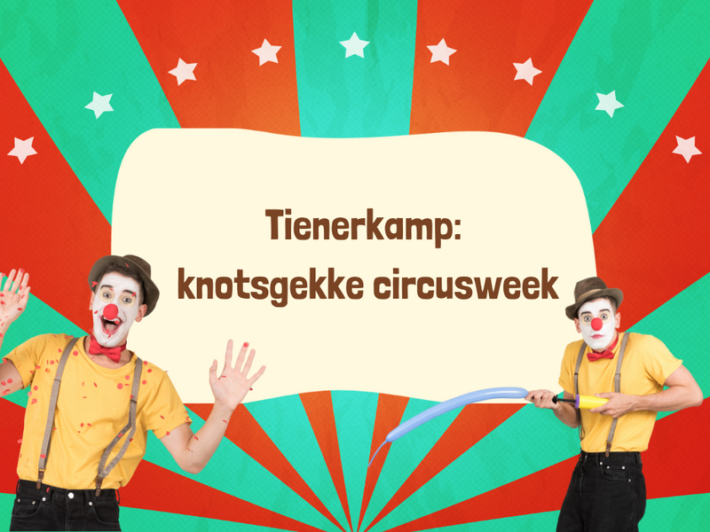 Tienerkamp: knotsgekke circusweek