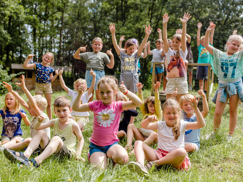 Musical: Vrolijke Vliegende Vriendjes