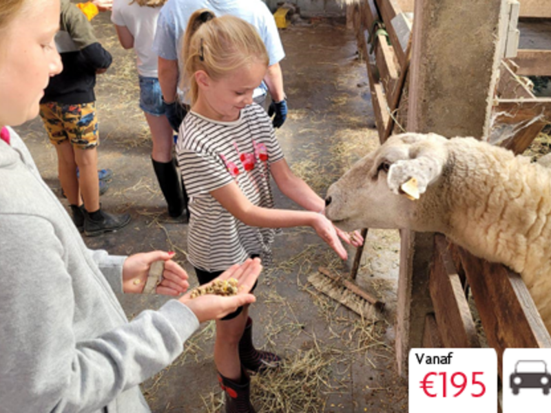 Vertoeven op de hoeve