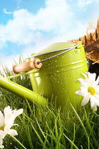 Groene vingers voor beginners