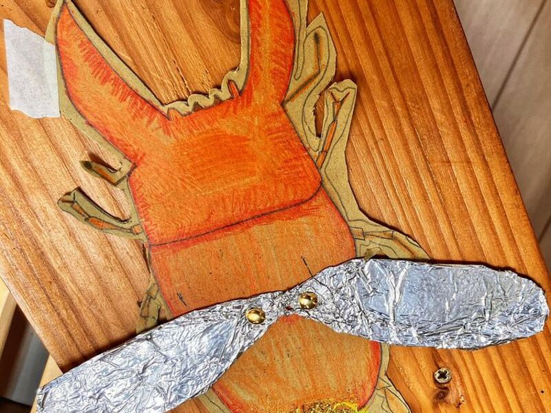 Creatief natuurkamp: Binnenste Buiten!