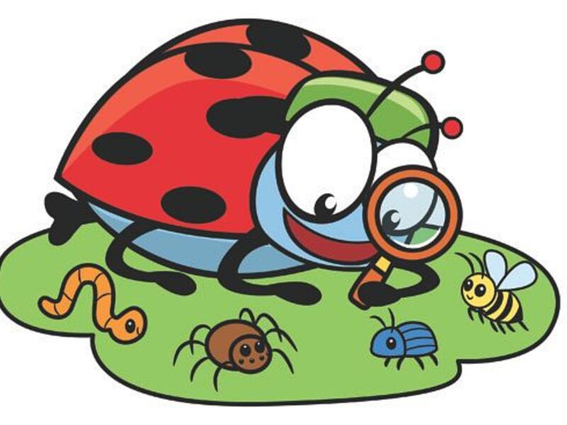 Kriebelbeestjes Kluisbergen (6-10/07/2026)