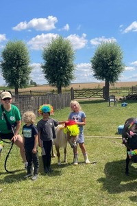 Ponyscouts (zonder overnachting)