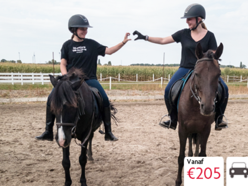 Paardenkriebels