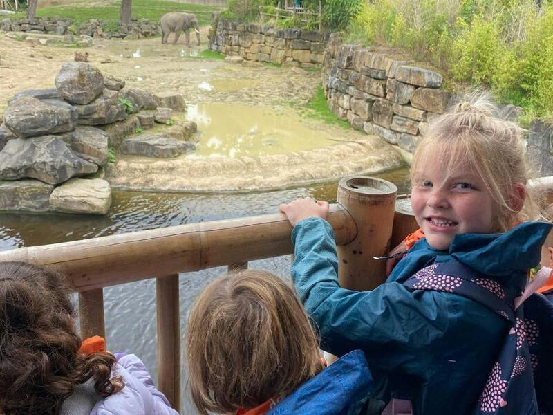 Speelfabriek Deluxe (groen) - Zoo Planckendael
