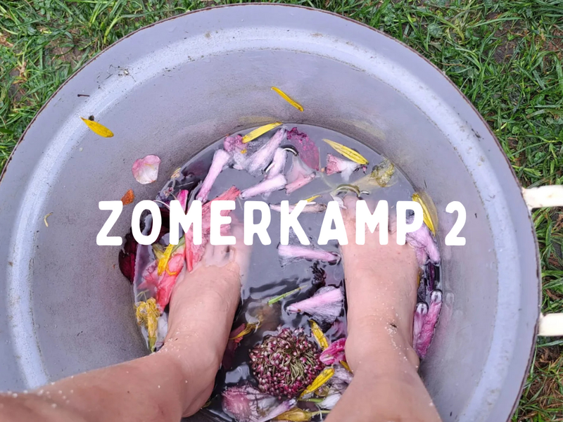 Zomerkamp 2