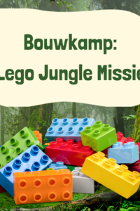 Bouwkamp: lego jungle missie