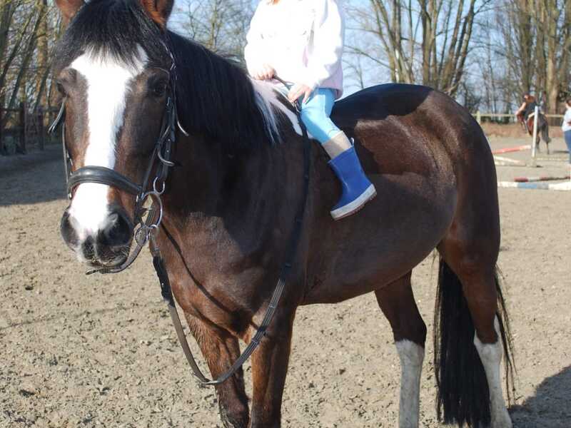 Ponypret op Sint Anneke