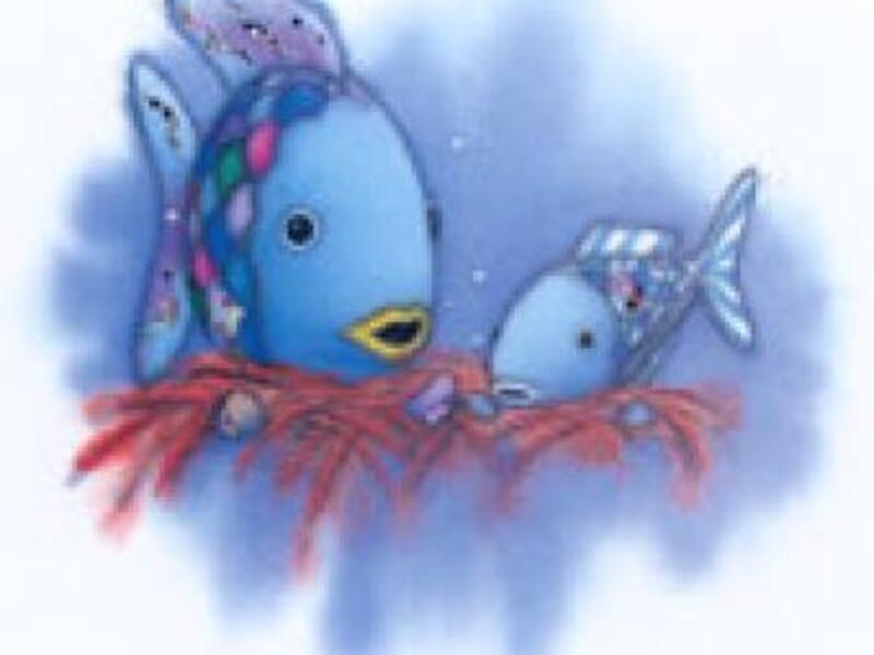 De mooiste vis van de zee Zomer 8 - 2026