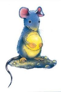 Max en de toverstenen Zomer 7 - 2026