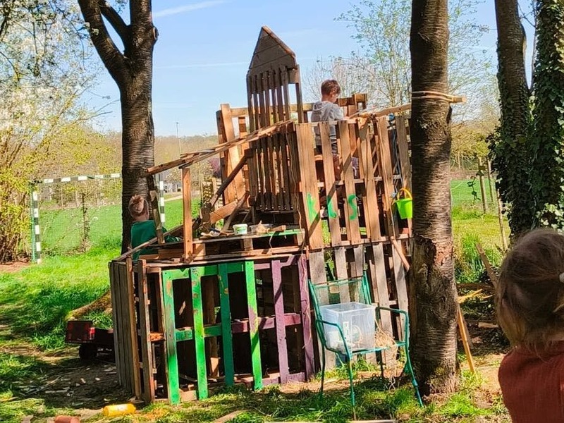 Flovira krokuskamp - hele dag je flow volgen en helemaal jezelf zijn (per dag inschrijven)