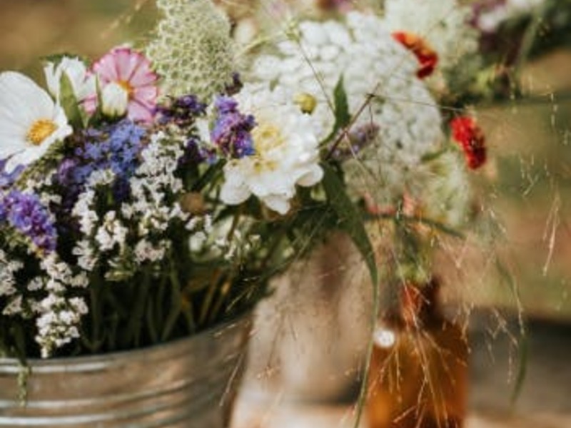 Bloemnpicknick