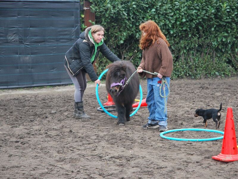 Sta sterk in je schoenen