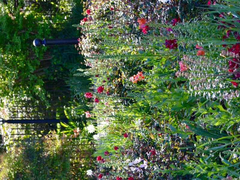 WS_Bloemenpluktuin