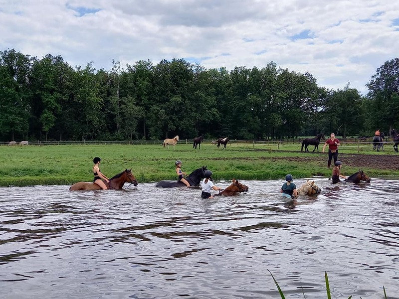 Paardrijden in het groen