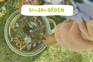 Gi-Ga-Groen