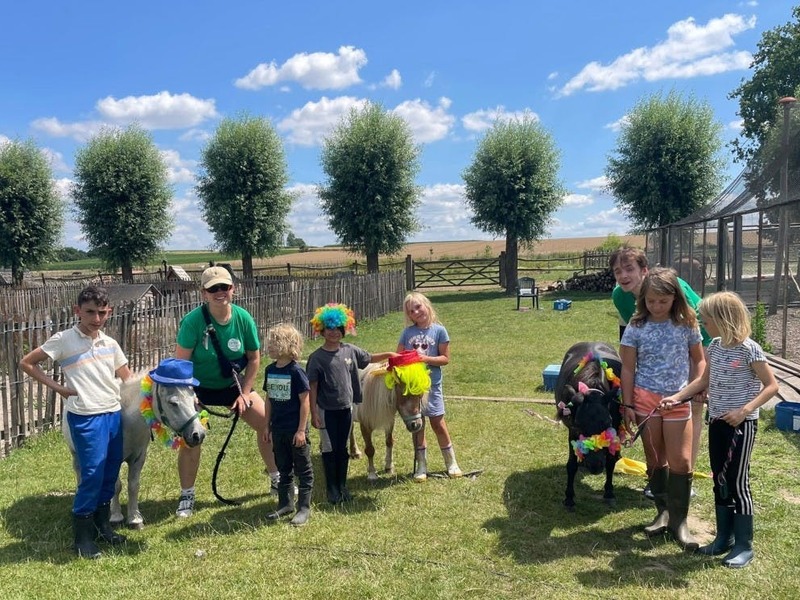 Ponyscouts (zonder overnachting)