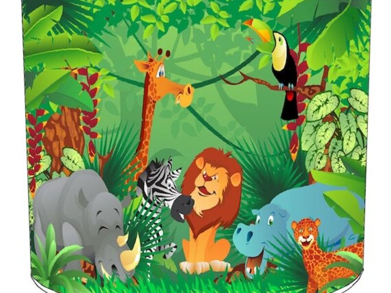 Met JETI naar het oerwoud