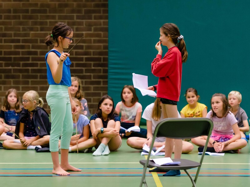 Musical: Henry Potter en De Trol