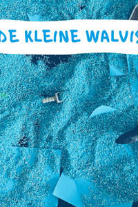 De Kleine Walvis