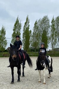 Paardrijden in Wingene